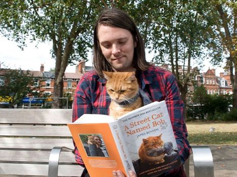Фотография: В Лондоне умер герой книг-бестселлеров рыжий уличный кот Боб №4 - BigPicture.ru