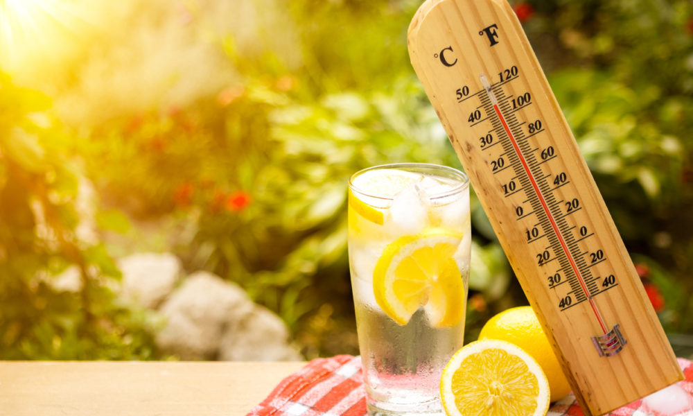 Фотография: Как питаться в жару: 5 важных правил для всех №1 - BigPicture.ru