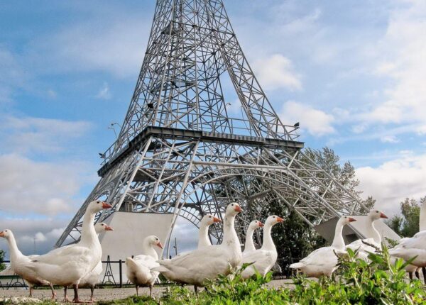 Как фанера над Парижем: 15 Эйфелевых башен с просторов России-матушки