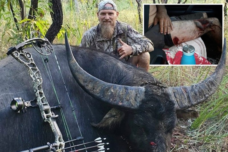 Фотография: Месть жертвы: огромный умирающий буйвол нанес последний удар охотнику, оставив страшные раны №1 - BigPicture.ru