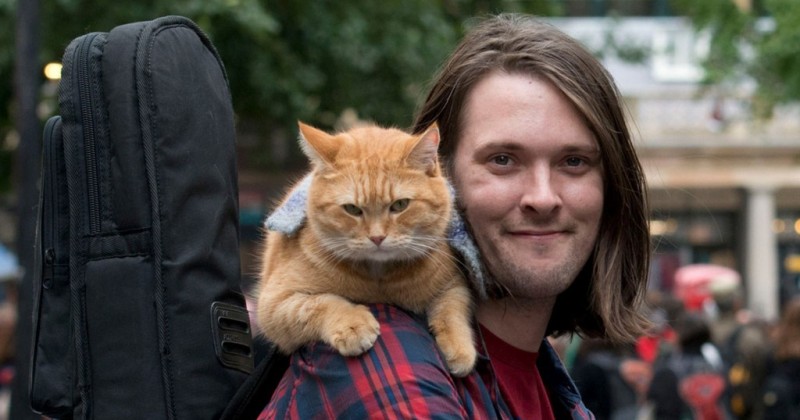 Фотография: В Лондоне умер герой книг-бестселлеров рыжий уличный кот Боб №1 - BigPicture.ru