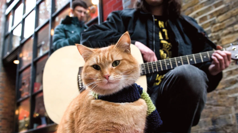 Фотография: В Лондоне умер герой книг-бестселлеров рыжий уличный кот Боб №2 - BigPicture.ru