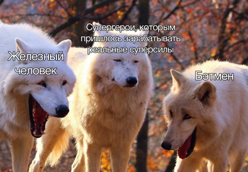 Фотография: Откуда взялся новый мем про смеющихся волков №5 - BigPicture.ru