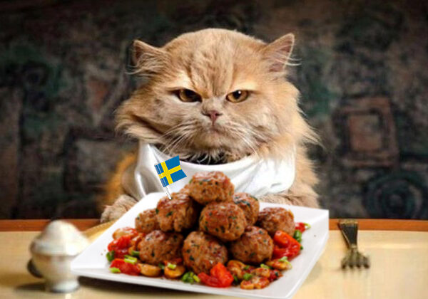 IKEA накормит россиян экодельками — фрикадельками без мяса