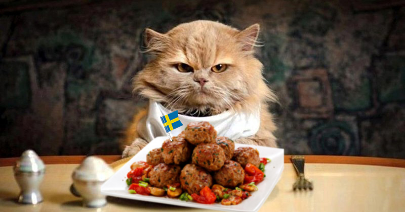 Фотография: IKEA накормит россиян экодельками — фрикадельками без мяса №1 - BigPicture.ru