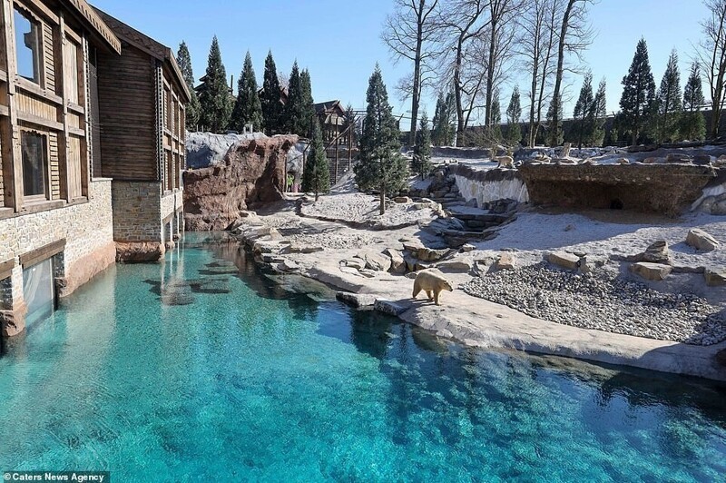 Фотография: В бельгийском зоопарке открыли номера с видом на диких животных №9 - BigPicture.ru