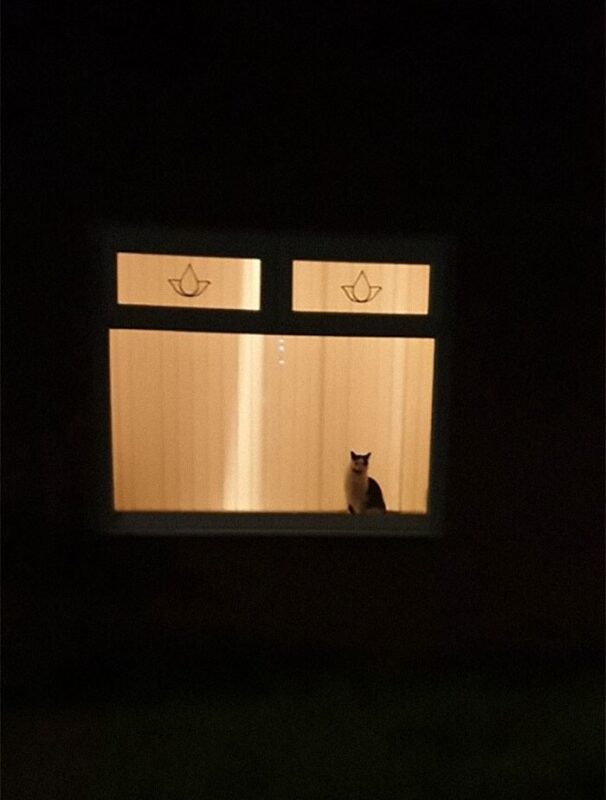 Фотография: 40 случаев, когда коты забрели в дом к людям и решили остаться №18 - BigPicture.ru