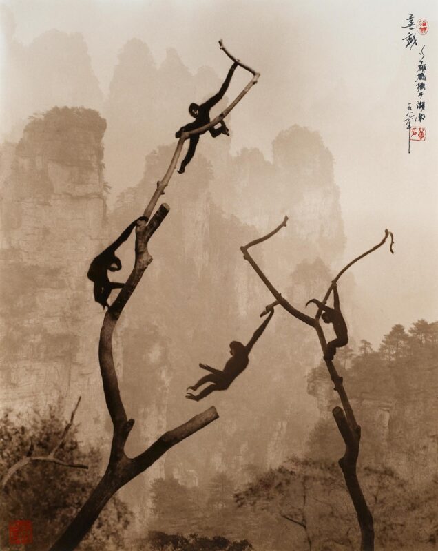 Фотография: Изысканные китайские мотивы на снимках культового фотографа Дон Хонг-Оай №11 - BigPicture.ru