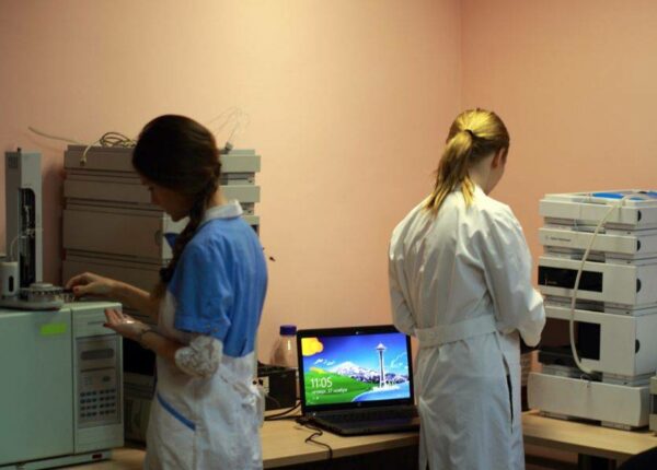 Экологические изыскания: важность проведения, состав работ и отчетность