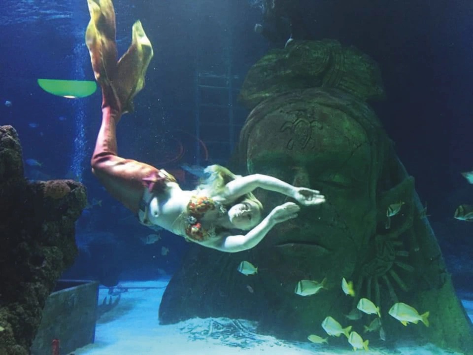 Фотография: Как рыба в воде: профессиональные русалки вернулись в аквариумы после карантина №9 - BigPicture.ru