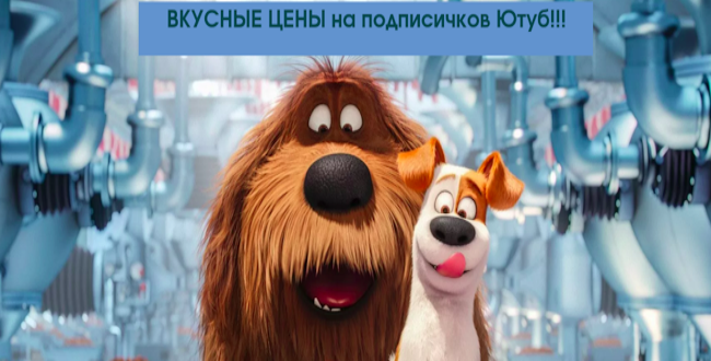 Фотография: Накрутка подписчиков Ютуб за деньги - Живых на 10 оптовых сайтах №1 - BigPicture.ru