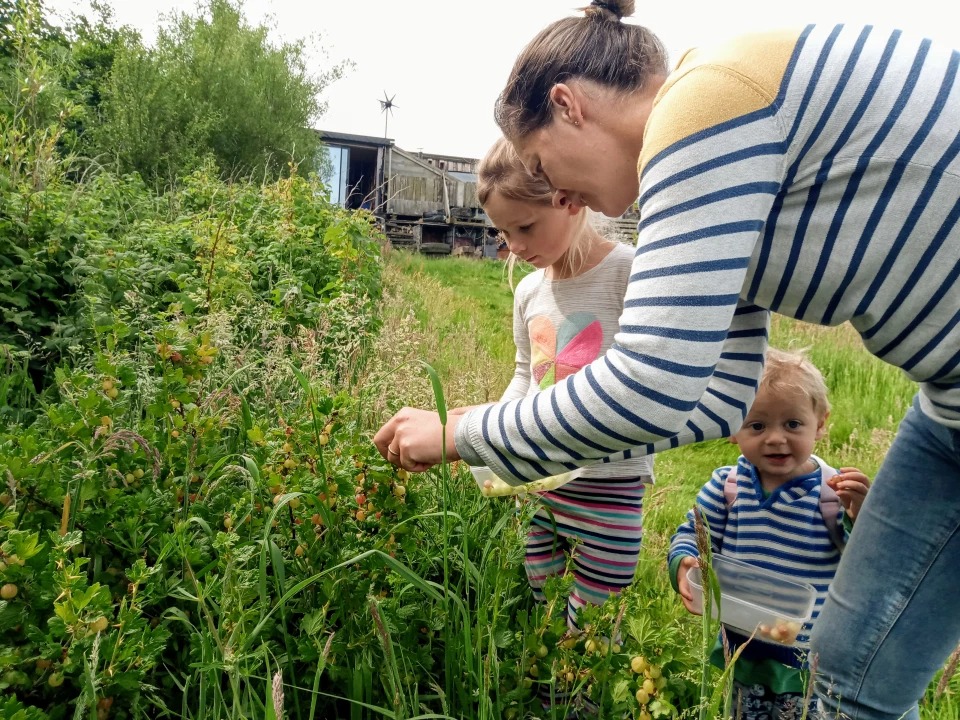 Фотография: За пределами цивилизации: семья британцев живет полностью автономной жизнью на ферме №10 - BigPicture.ru