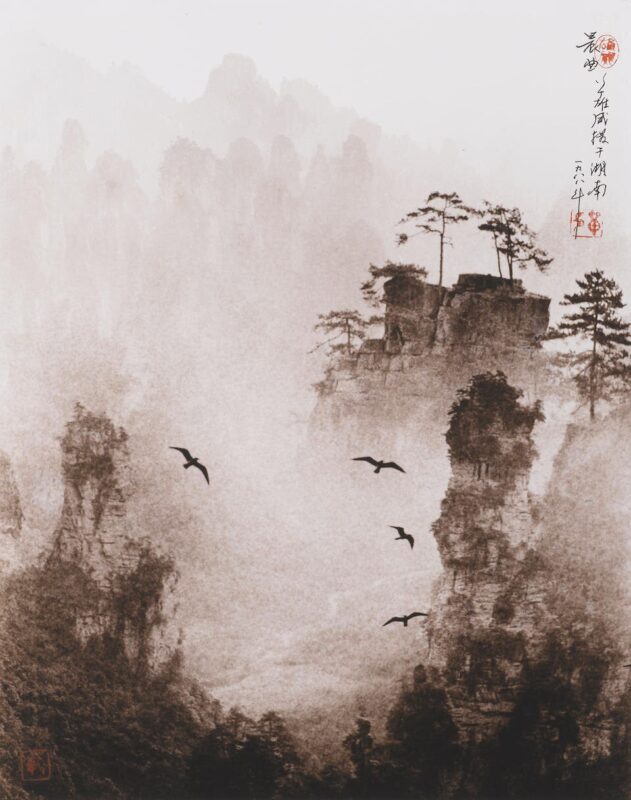 Фотография: Изысканные китайские мотивы на снимках культового фотографа Дон Хонг-Оай №22 - BigPicture.ru