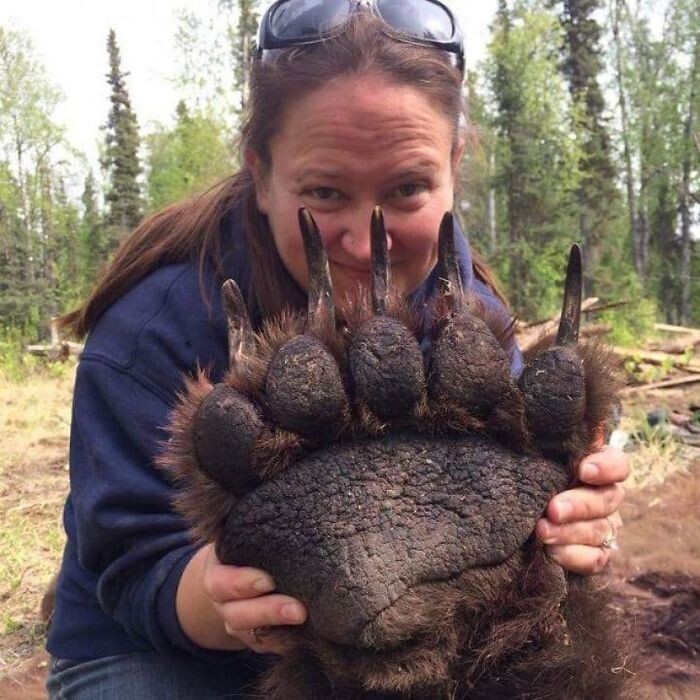 Фотография: 30+ животных, реальные размеры которых вас поразят №17 - BigPicture.ru