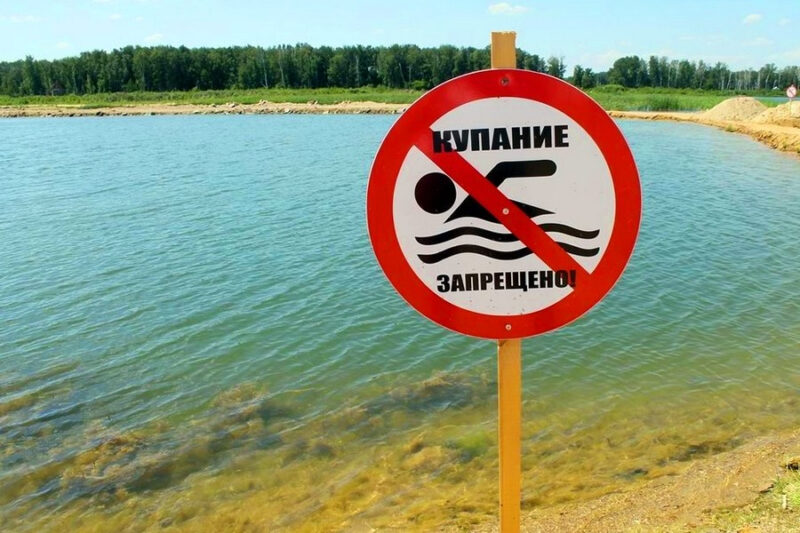 Фотография: Опасные паразиты и инфекции, подстерегающие купальщиков в наших водоемах №2 - BigPicture.ru