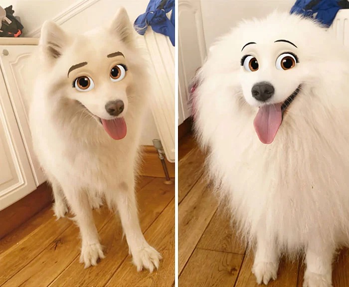 Фотография: Snapchat добавил новый фильтр Cartoon Face, который делает собак похожими на персонажей Диснея №1 - BigPicture.ru