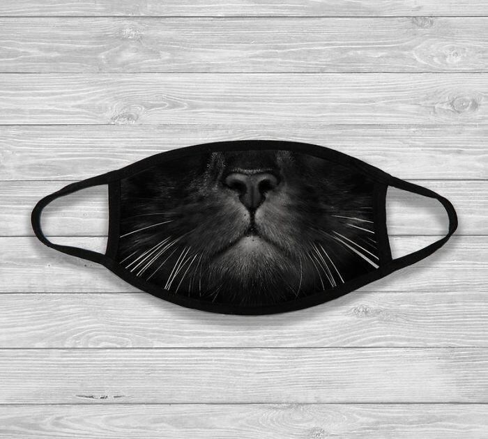 Фотография: 30 странных и смешных защитных масок для людей-кошек №18 - BigPicture.ru