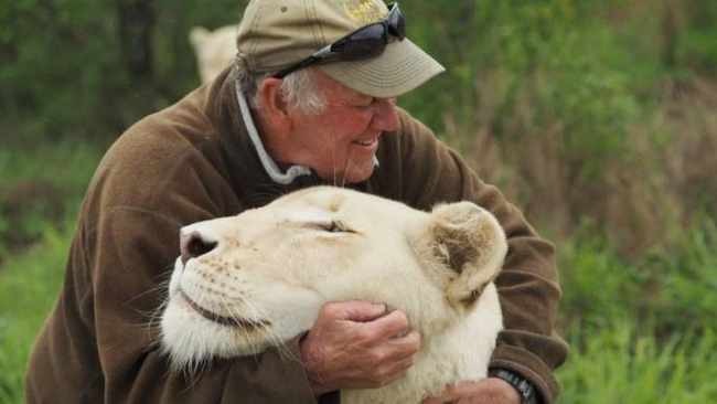 Фотография: Защитника природы во время игры растерзали две его любимые белые львицы №1 - BigPicture.ru