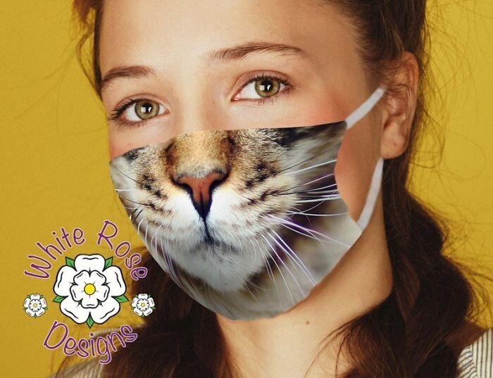 Фотография: 30 странных и смешных защитных масок для людей-кошек №26 - BigPicture.ru