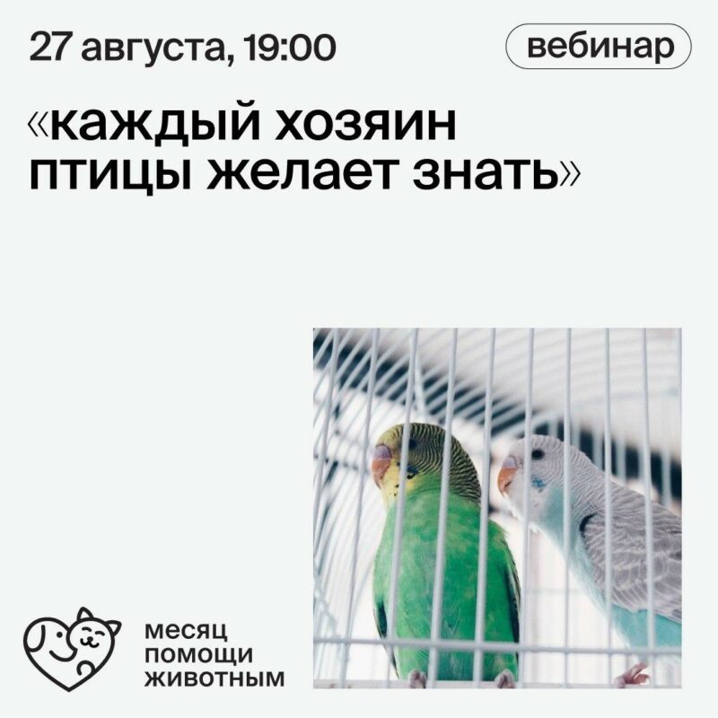 Фотография: Каждый хозяин птицы желает знать ... №1 - BigPicture.ru
