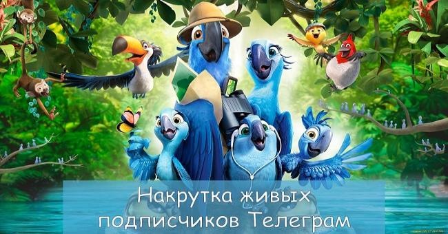 Фотография: Накрутка подписчиков Телеграм канала и группы - Бесплатные и недорогие способы №1 - BigPicture.ru