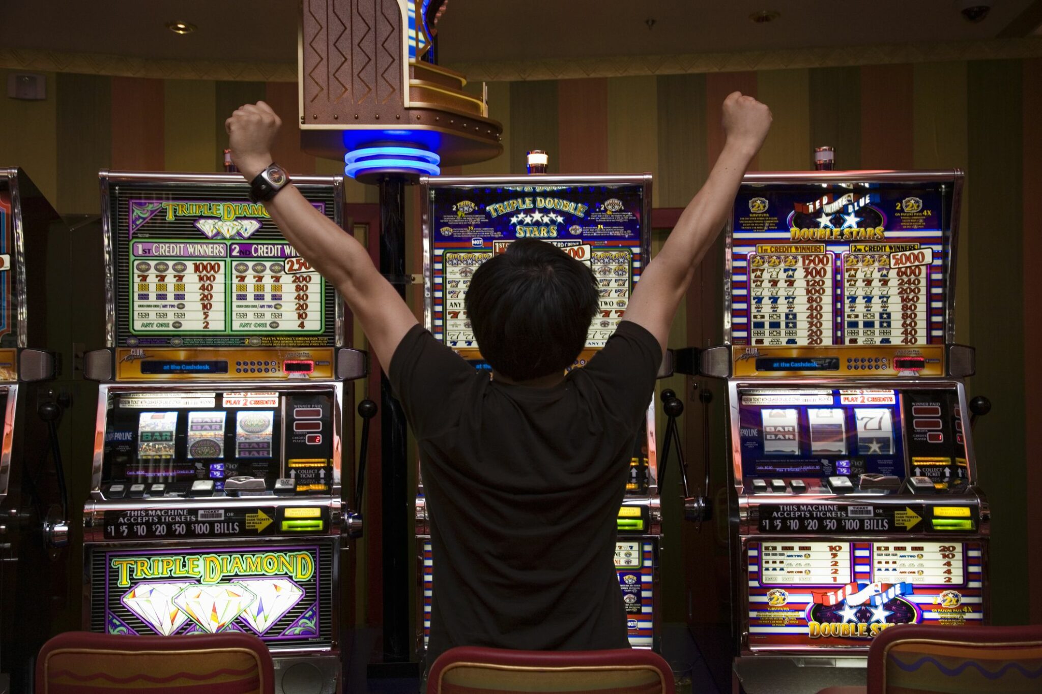 Сделать самому онлайн казино казино где нет минимальных выплат
