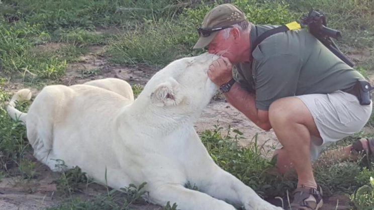 Фотография: Защитника природы во время игры растерзали две его любимые белые львицы №4 - BigPicture.ru