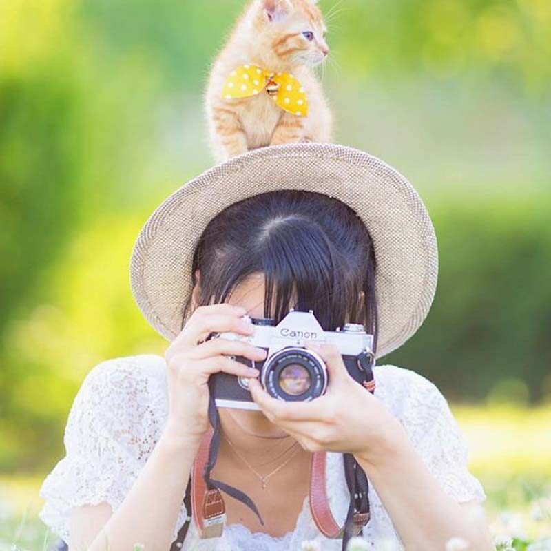 Фотография: Котята и фотоаппараты: милая фотосерия фотографа из Японии №3 - BigPicture.ru