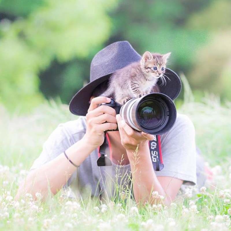 Фотография: Котята и фотоаппараты: милая фотосерия фотографа из Японии №15 - BigPicture.ru