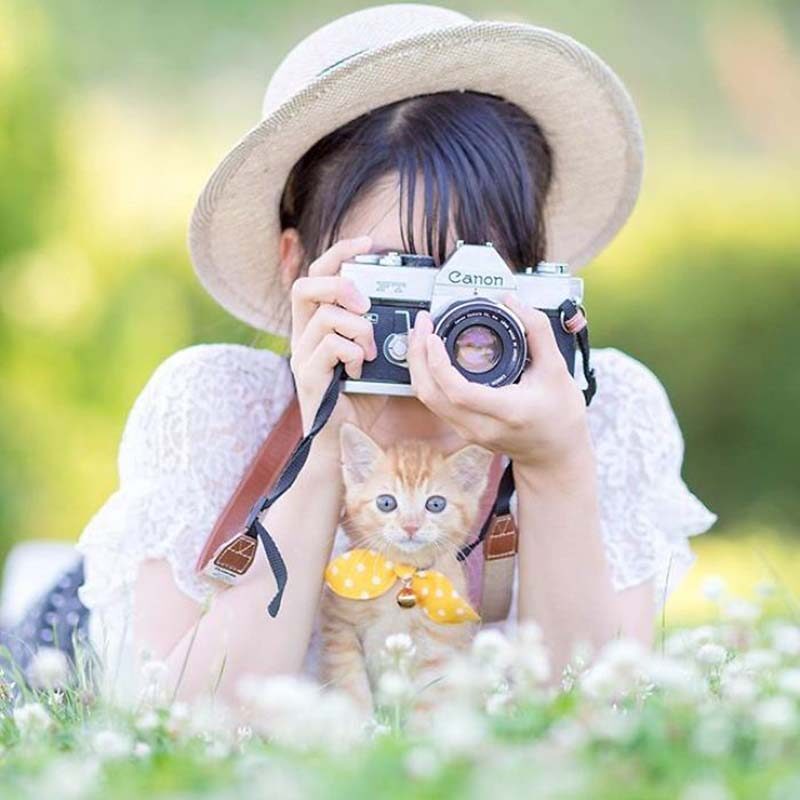 Фотография: Котята и фотоаппараты: милая фотосерия фотографа из Японии №18 - BigPicture.ru