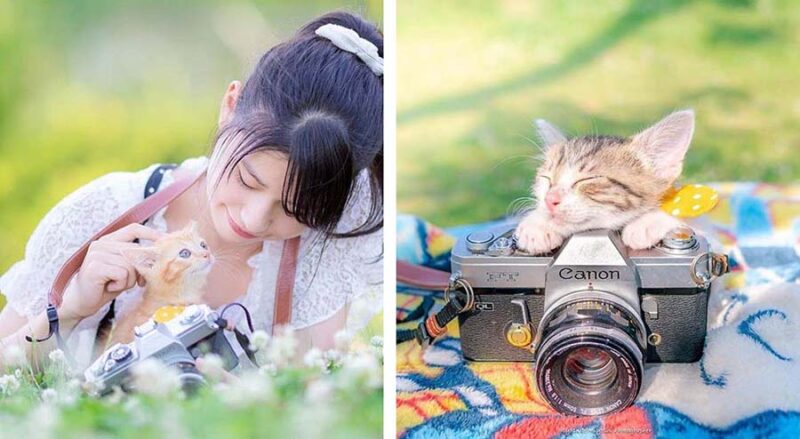 Фотография: Котята и фотоаппараты: милая фотосерия фотографа из Японии №1 - BigPicture.ru