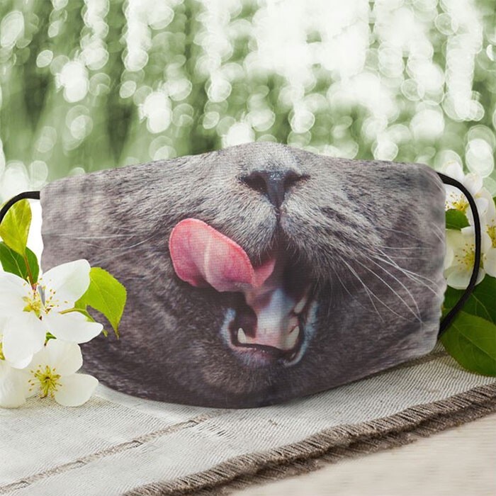 Фотография: 30 странных и смешных защитных масок для людей-кошек №5 - BigPicture.ru