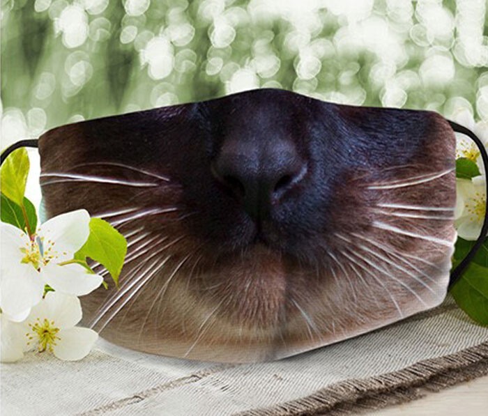 Фотография: 30 странных и смешных защитных масок для людей-кошек №16 - BigPicture.ru