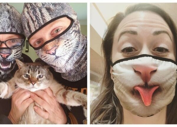 30 странных и смешных защитных масок для людей-кошек