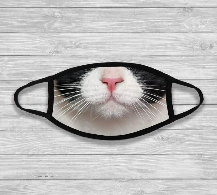 Фотография: 30 странных и смешных защитных масок для людей-кошек №21 - BigPicture.ru