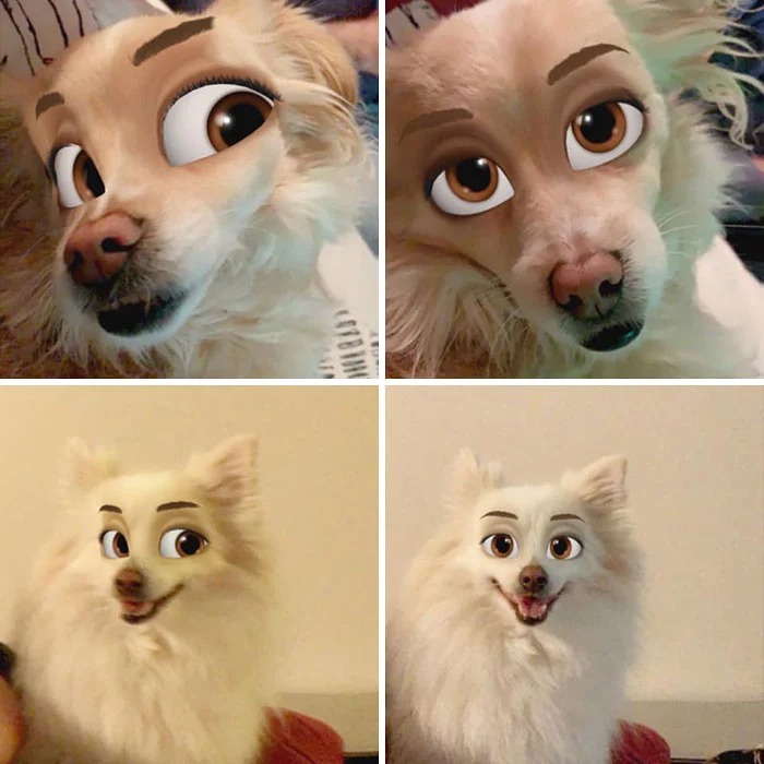 Фотография: Snapchat добавил новый фильтр Cartoon Face, который делает собак похожими на персонажей Диснея №17 - BigPicture.ru
