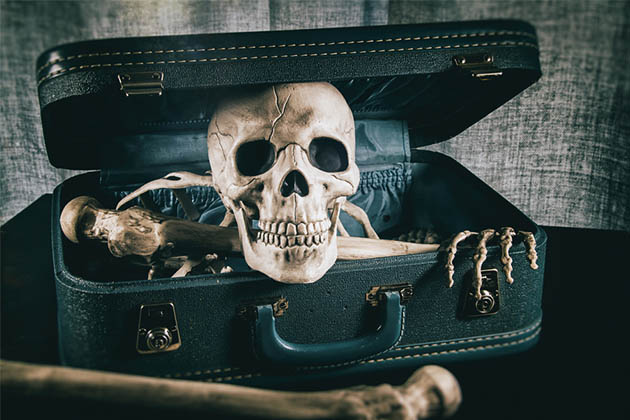 Фотография: В аэропорту Мюнхена в багаже пассажирки нашли скелет ее покойного мужа №1 - BigPicture.ru