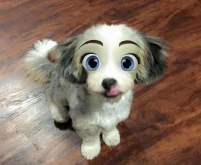 Фотография: Snapchat добавил новый фильтр Cartoon Face, который делает собак похожими на персонажей Диснея №19 - BigPicture.ru