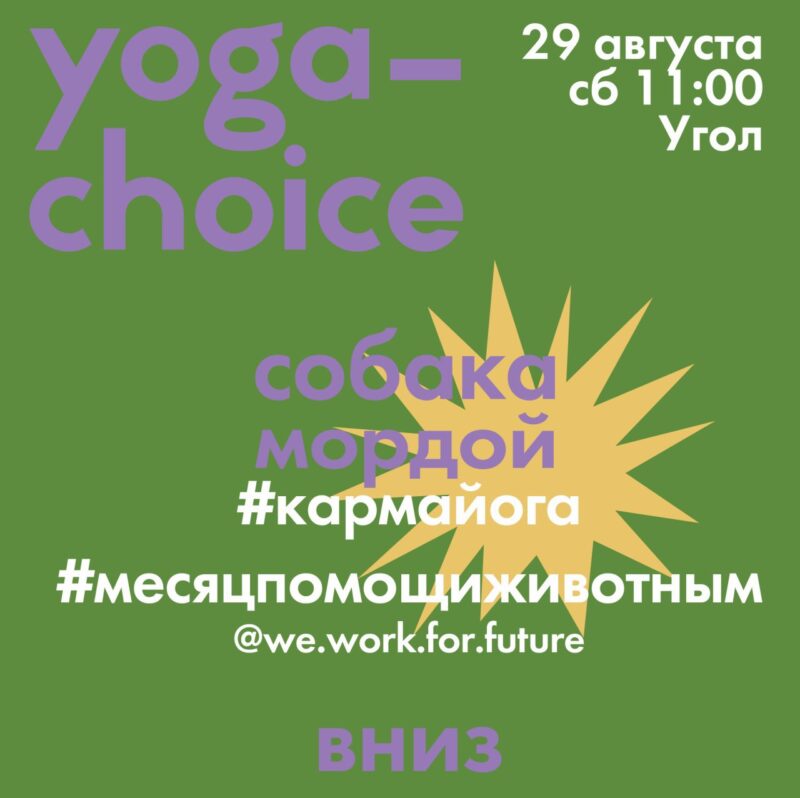 Фотография: Благотворительный класс йоги от проекта Yogachoice №1 - BigPicture.ru