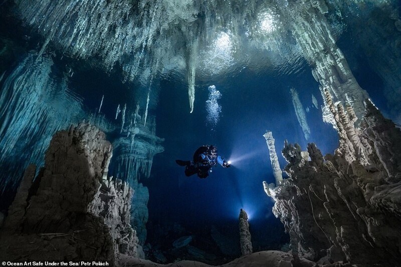 Фотография: 30 потрясающих снимков с конкурса подводной фотографии Ocean Art 2020 №9 - BigPicture.ru