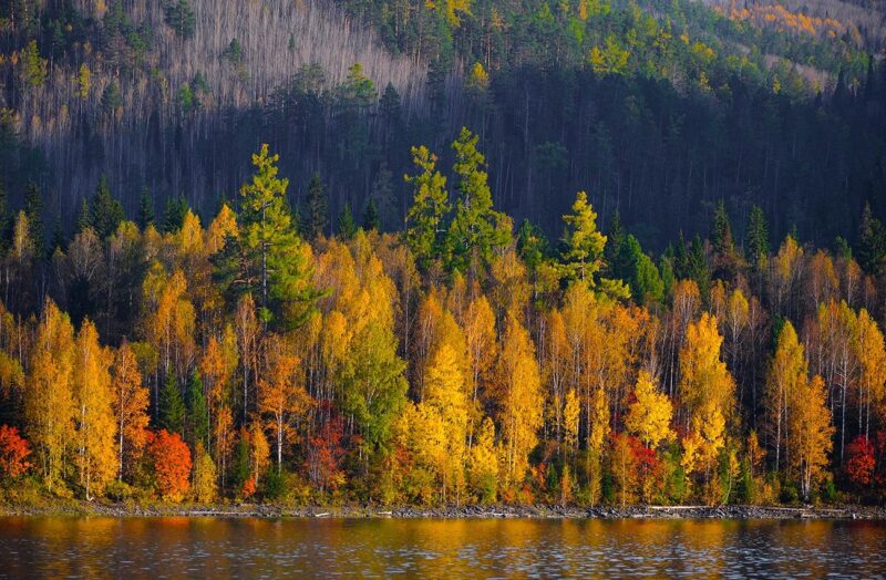 Фотография: Золотая осень в фотографиях из разных уголков России №13 - BigPicture.ru