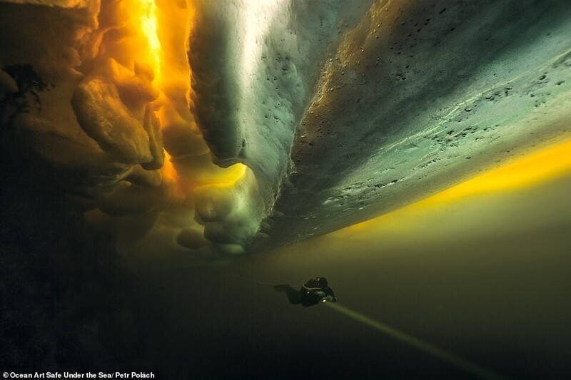 Фотография: 30 потрясающих снимков с конкурса подводной фотографии Ocean Art 2020 №14 - BigPicture.ru