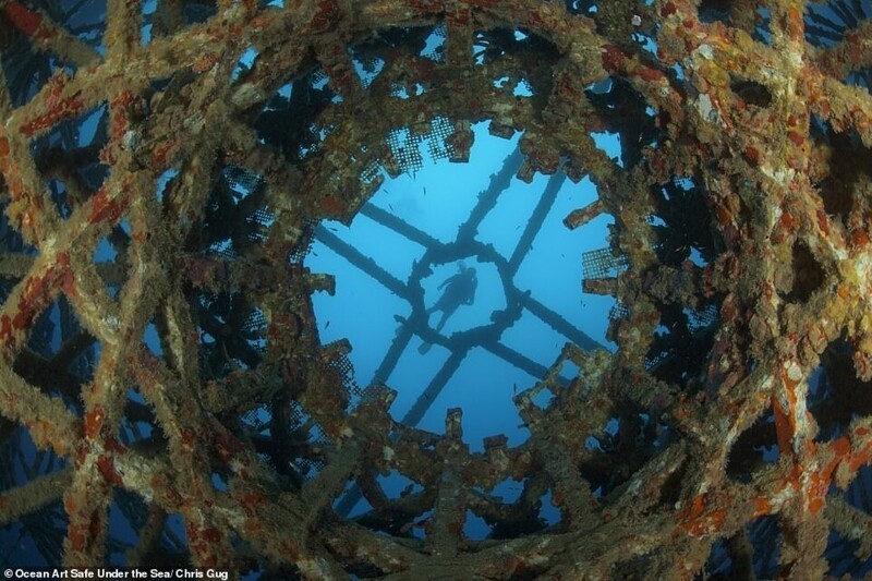 Фотография: 30 потрясающих снимков с конкурса подводной фотографии Ocean Art 2020 №28 - BigPicture.ru