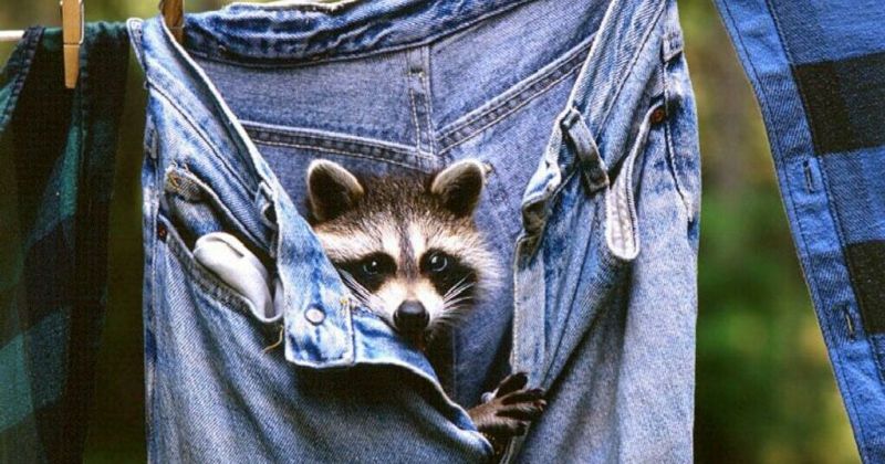 Фотография: Хорошая новость от экспертов: ваши джинсы стирать не нужно! №1 - BigPicture.ru