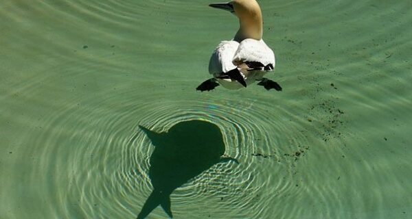 22 удивительные трансформации привычных предметов, которые сделают ваш день