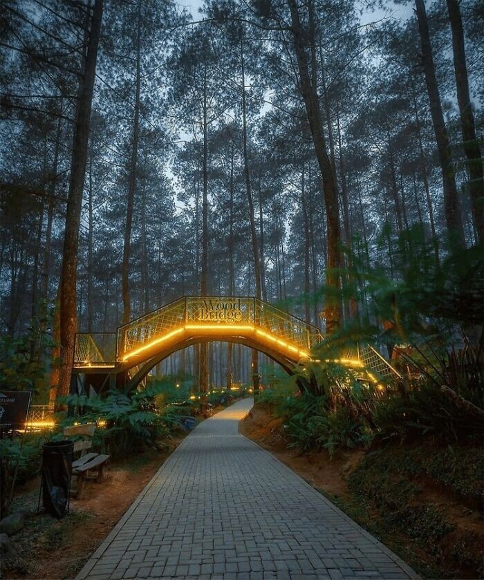 Фотография: Путешествуем онлайн: самый волшебный мост в Индонезии №6 - BigPicture.ru