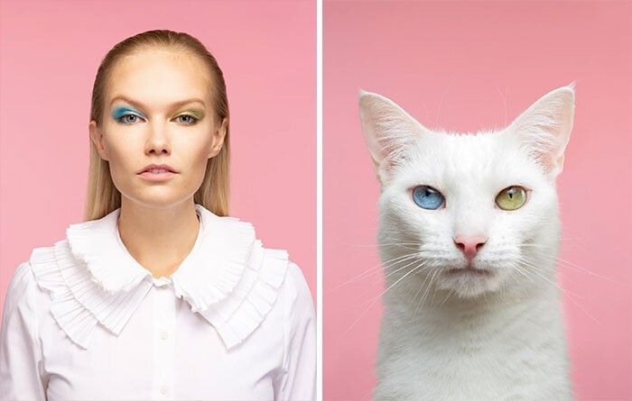 Фотография: 17 портретов кошек и людей, невероятно похожих друг на друга №9 - BigPicture.ru
