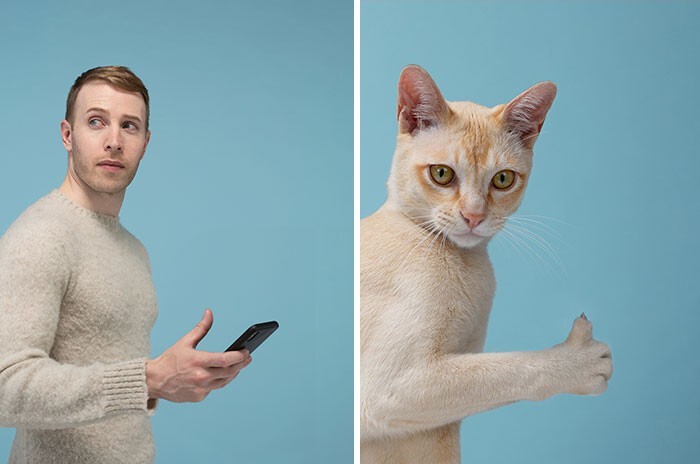 Фотография: 17 портретов кошек и людей, невероятно похожих друг на друга №15 - BigPicture.ru