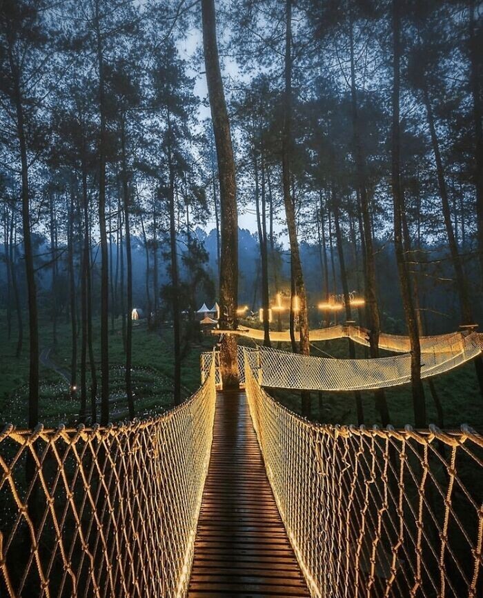 Фотография: Путешествуем онлайн: самый волшебный мост в Индонезии №3 - BigPicture.ru