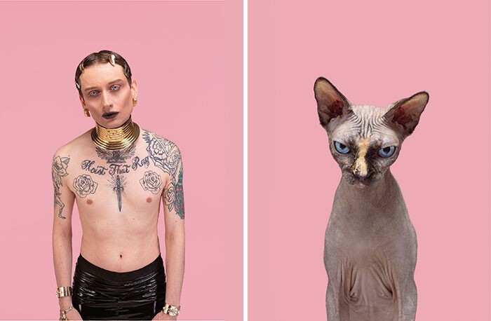Фотография: 17 портретов кошек и людей, невероятно похожих друг на друга №14 - BigPicture.ru